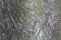 Bryn Myrddin fibreglass roof work